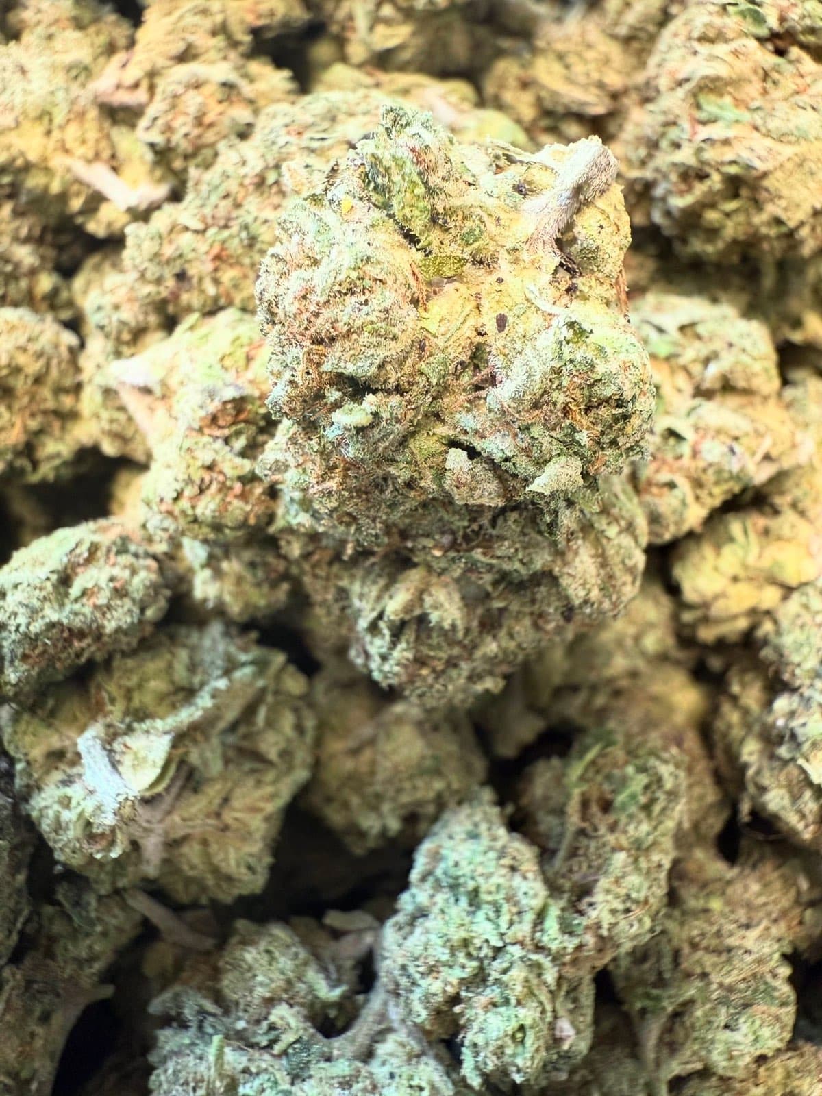 THCA Lemon Cherry Zlushie Pound